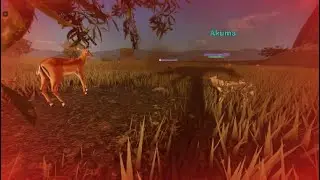 Roblox: TRYING OUT THE WARTHOG BUT I GET CHASED INSTANTLY!!!