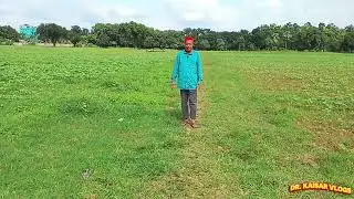 কোটি টাকার তুলা চাষ: শ্রীপুরে তুলা গবেষণা কেন্দ্রের অজানা তথ্য! | New Travel Vlogs । Dr. Kaisar