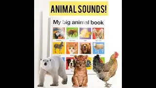My Big Animal Board Book - Learning Animal names and Sounds for Kids