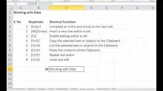 How to use Excel - Shortcuts, Selection, data and formula - Microsoft Excel Tutorials