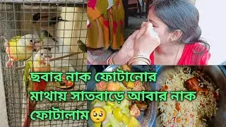Vlog#254 Nak Fotalam didar k6e 💥 koto pakhi share korlam bondhura tomader shate🙂