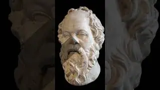 Socrates' Wisdom: The Value of Self-Reflection #shorts