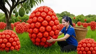 TIMELAPSE &ndash; Harvesting 1000kg GIANT RED WILD PINEAPPLE & Go to Market Sell | RARE WILD PINEAPPLE