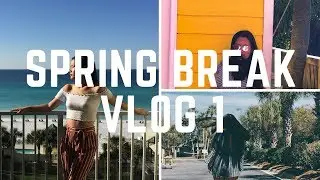 VLOG 1- Spring break 2018 - Destin, Florida I Flavors I Nepali vlog
