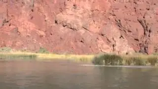Topock gorge on the Colorado river