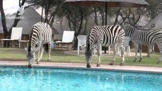 Heia Safari Ranch - Johannesburg