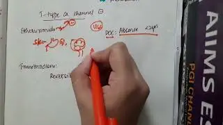 antiepileptics   ethosuximide mp4
