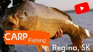 Saskatchwan Fishing Tour |SK Angler Fishing |Asian Carp Fishing|Big Carp Fishing from Regina, Canada