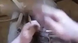 заплетаем лапти восьмерик из черной коры!