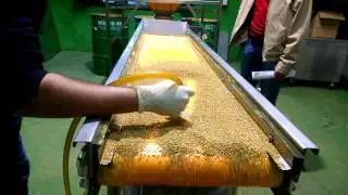 Organic beepollen cleaning process