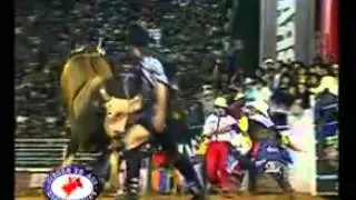 clip touro bandido