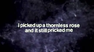 Daryl Salad - i picked up a thornless rose and it still pricked me [Visualizer]