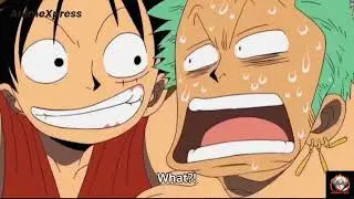 One Piece | Luffy and Zoro Funny Moments | Zoro will kill Luffy