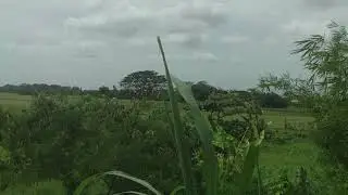 HP V5560u is still Amazing, 20x Zoom, v2 (2019)