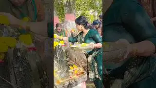 Nagarapanchami pooja 🙏💖 #madhavigowda #nagarapanchami #kannada