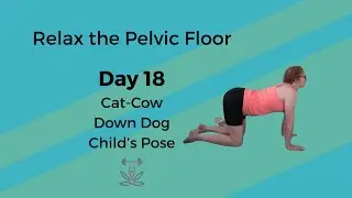 Day 18 | Spine Reset + Full Body Stretch (Cat-Cow, Down Dog, Child&rsquo;s Pose)