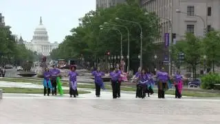 2014 Shimmy Mob - Washington DC