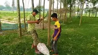 fnyy content video...sby...saporst korbwn