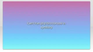 Can't run php bin/console in symfony