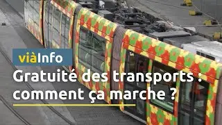 Montpellier : Tout ce qu'il faut savoir sur la gratuité totale des transports en commun