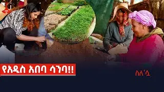 ስለሷ - የአዲስ አበባ ሳንባ!!Etv | Ethiopia | News