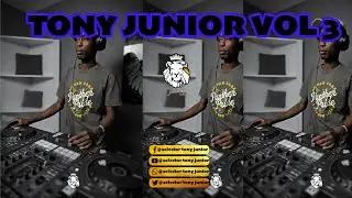 TONY JUNIOR REGGEA DUB VOL 3