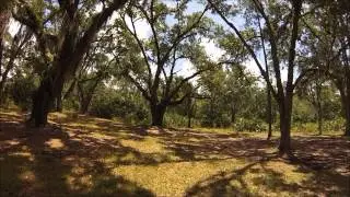 Hal Scott Regional Preserve and Park, FL