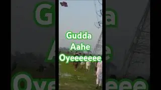 Khushiyan 🥰 #basantinternational #basant #happiness #kiteflying