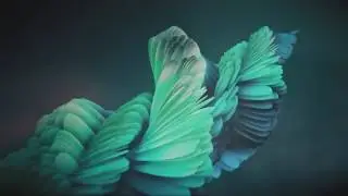 VJ Clip: AIYH [01.11.2016]