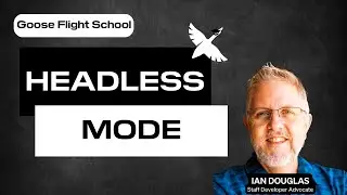 Flight School - Goose Headless Mode
