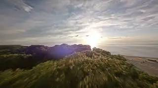 Warren Dunes State Park by FPV drone