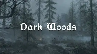 Ancient Dark Woods 🎧 Skyrim Deep Relaxing Music & Ambience