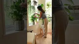 AI Plant Care App