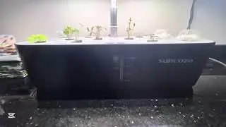 Hydroponics Farming in Africa: Grow Food Without Soil 🌱💧 | Tesonarts&rdquo;