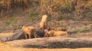 Chada Katavi