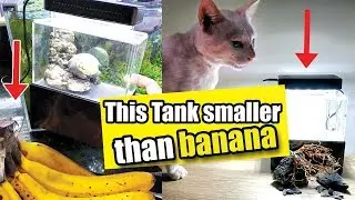 The Smallest Reef / Planted Tank - Pico Size #Unboxing