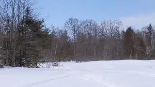 2020 Backcountry 850 146in track/ Jaws Race Can