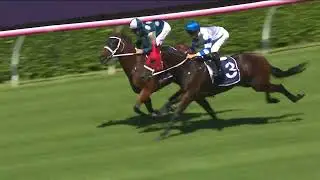 Buckaroo, Kovalica and Autumn Glow | Randwick Exhibition Gallop | 13 March 2025