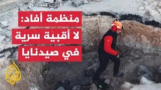 رئيس منظمة 