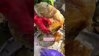 #родственныеистории
