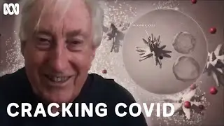 The Adaptive Immune System | Cracking COVID