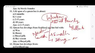 Honey bee MCQs|important for uppgt and tgt exams|dance of honey bee