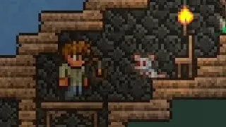 Mouse vs Master Mode