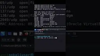 Тестирование на проникновение с помощью Nmap: сканирование портов UDP
