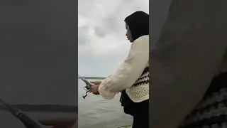 Ubur ubur ikan leleInpo spot mancing lee..