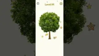 DOP draw one part level 34