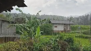&ldquo;Rice Field Rain for Sleep & Relaxation &mdash; Nature&rsquo;s Deep Sleep Sound&rdquo;