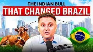 How India&rsquo;s Gir Cow Revolutionized Milk Production in Brazil| EP29