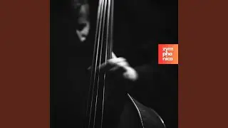 Heat Waves (Symphony Orchestra Version)