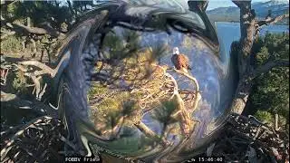 November 24, Big Bear Valley 2025 @FOBBVCAM